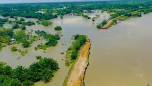 Next month I’ll be unboxing the exclusive “Last of Them II” deluxe version